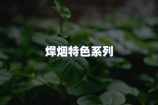 焊烟特色系列