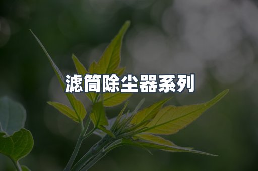 滤筒除尘器系列